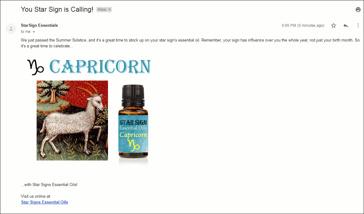 The email Jack (the Capricorn) receives showing a Capricorn-related image.