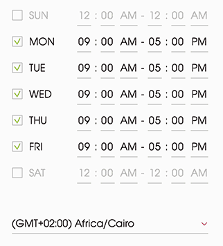 Displays scheduling settings of email campaigns in Woodpecker.