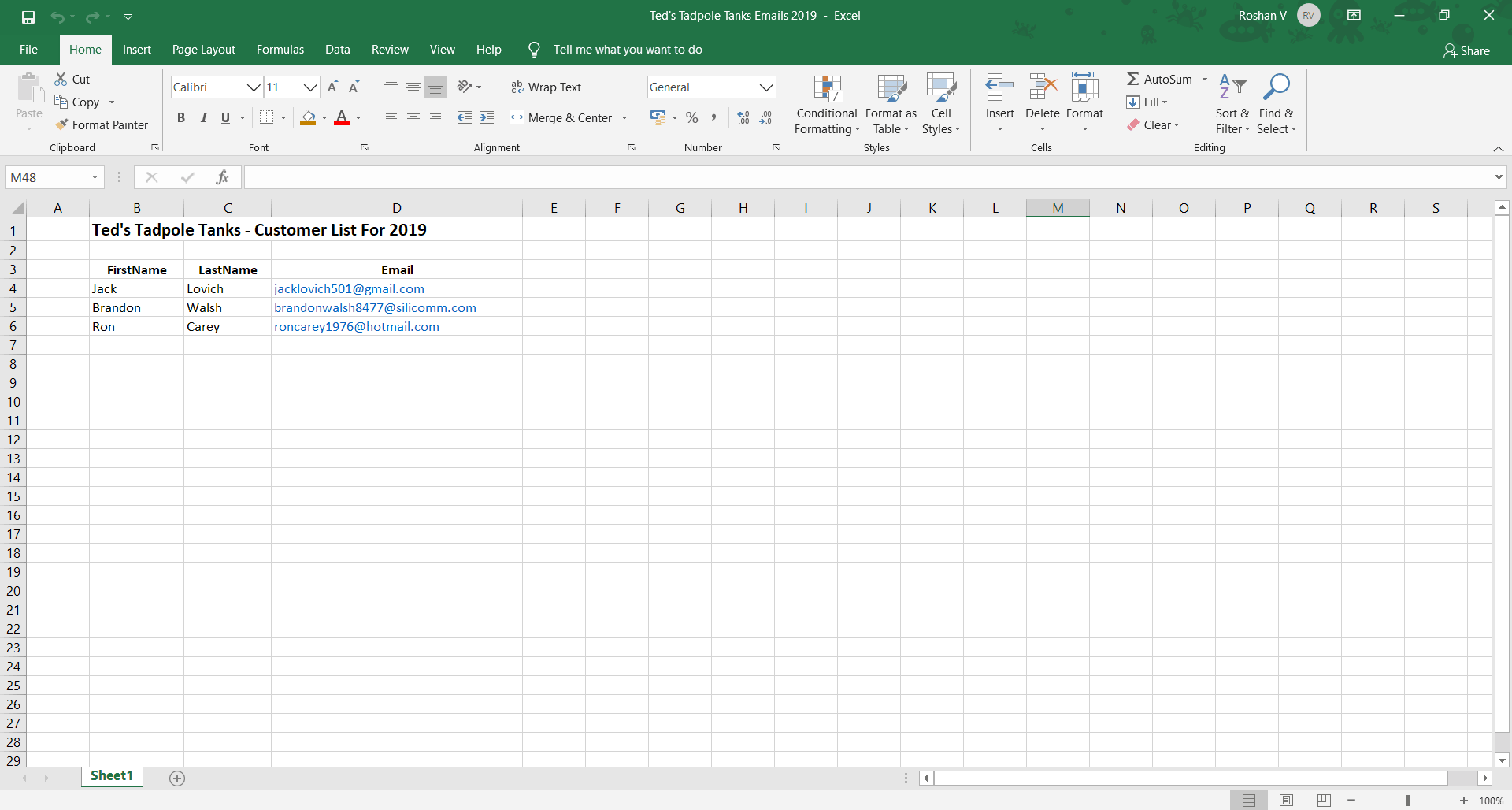 excel email template