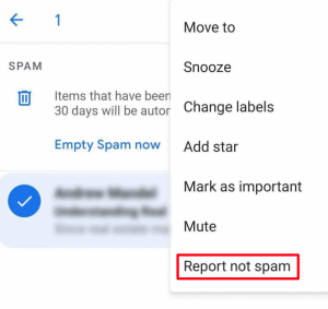 report not spam