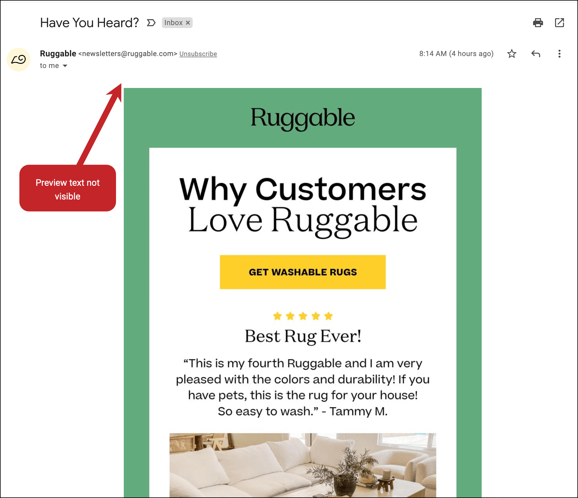 Ruggable email does not display preview text in the body